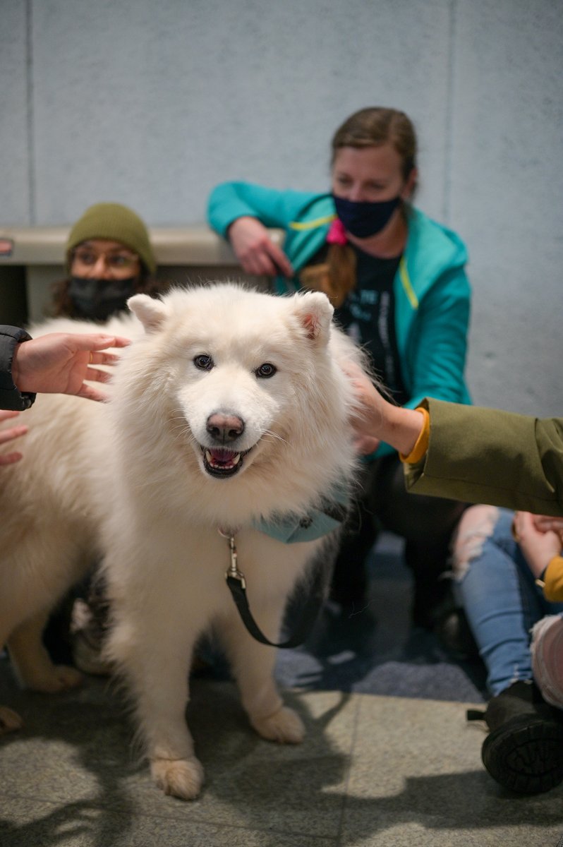 FLASHBACK TO OUR WINTER DE-STRESSOR! 

Did you miss our event where we brought some furry friends for you to meet at the Student Centre? Join us TODAY  - April 8 from 1-3PM as we bring back some friends, and for you to "Take a Paws" with us! 🐾⏸