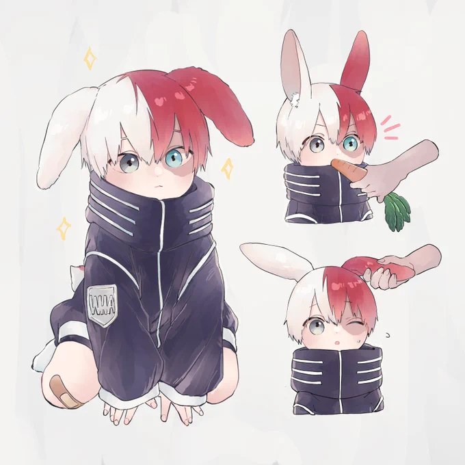 🐰 