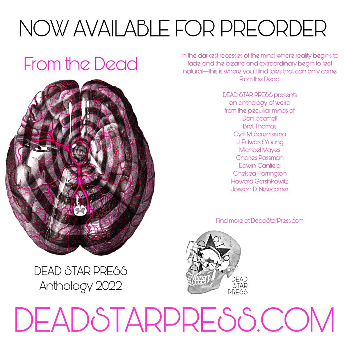 CSerenissima's tweet photo. My first short story, 'His Cold Hand' will be published in 'From the Dead'. Preorders are available now. @deadstarpress https://t.co/Z6ARe4RKzU