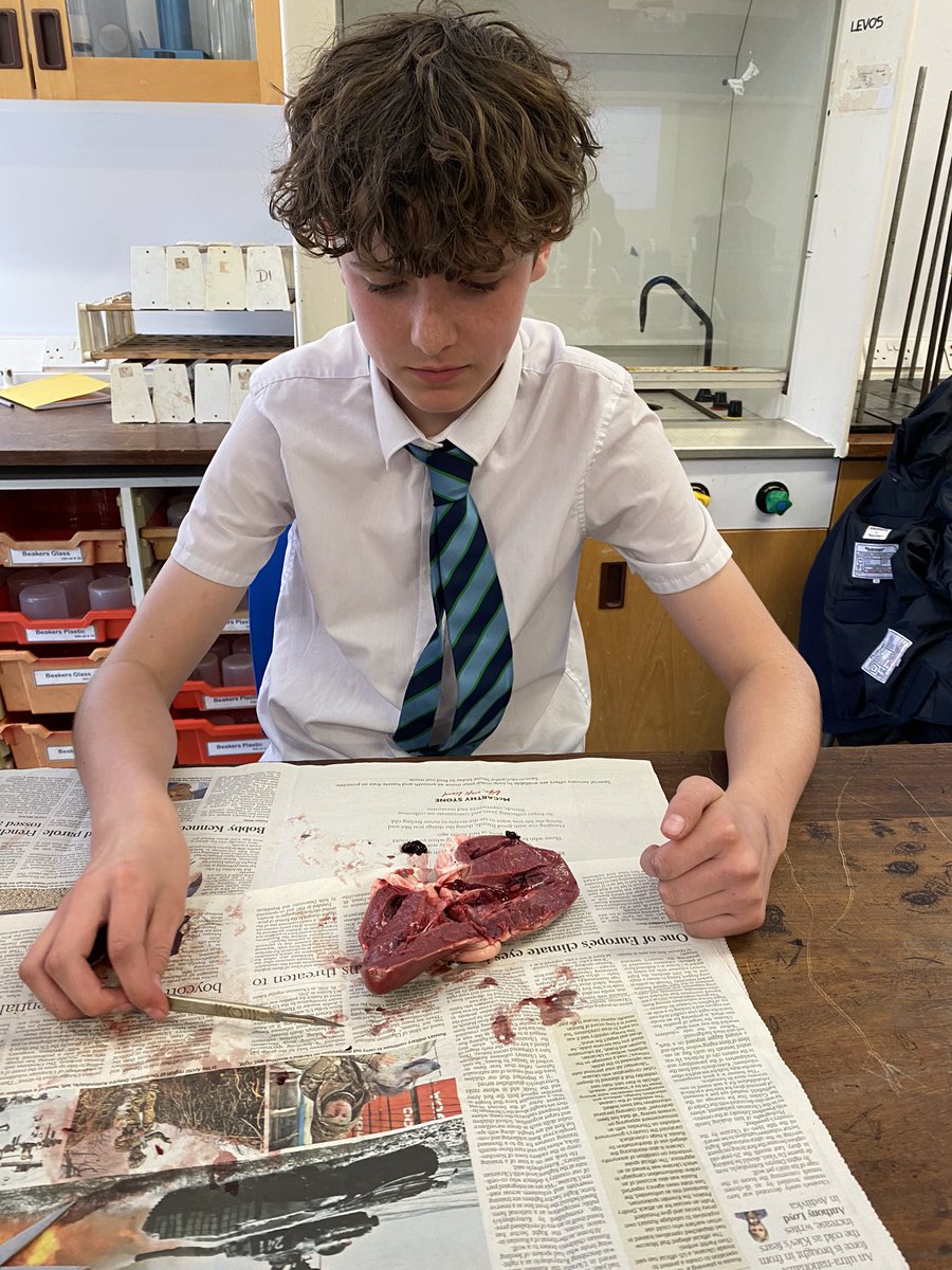 Maelor Science tweet media