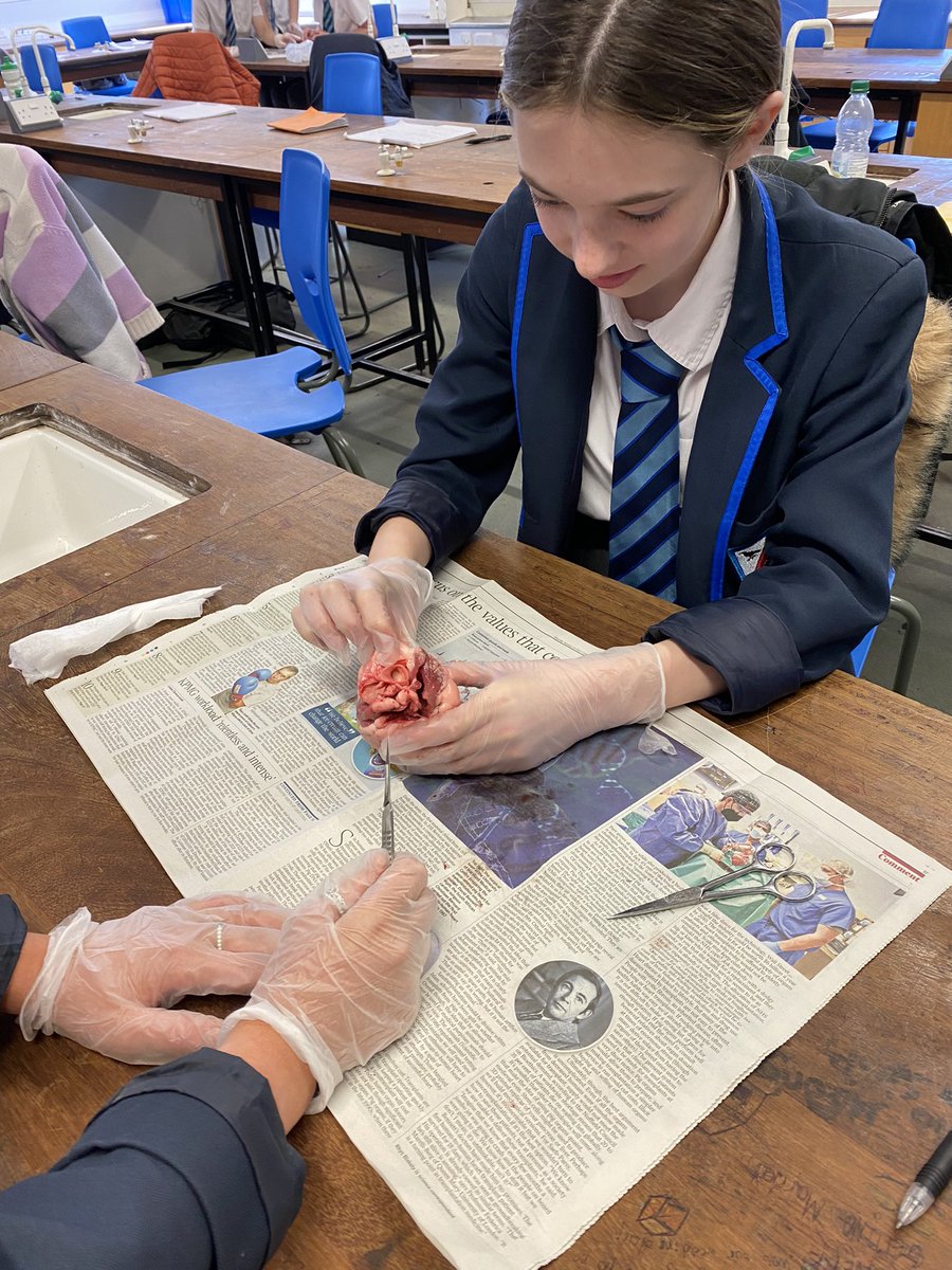 Maelor Science tweet media