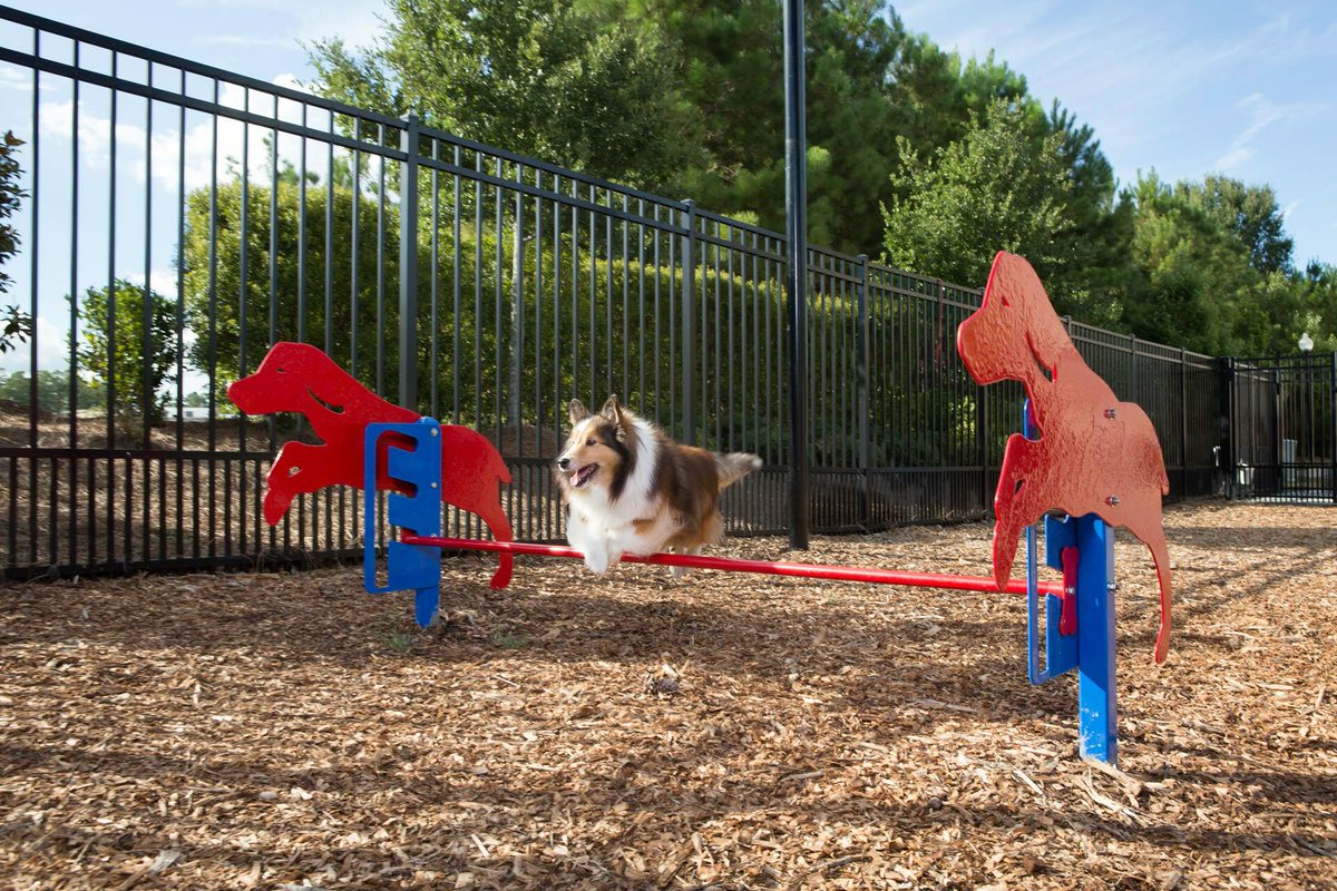 CunninghamRec's tweet photo. We're glad it's Friday! Don't let your weekend get away without getting some time at your local playground, park or outdoor fitness space. #GOPlay #TakeTime2Play #TakeTime4Play #BeActive #outdoors #gooutside #TGIF https://t.co/40PgRj7sSY