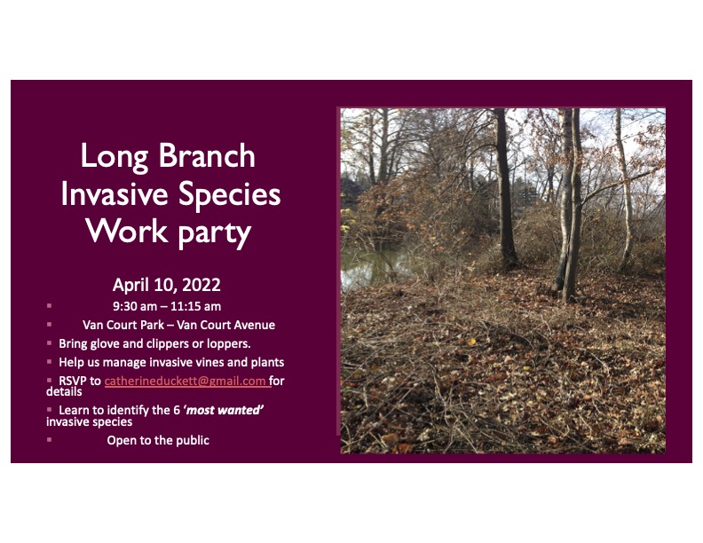 LongBranchEC's tweet image. 