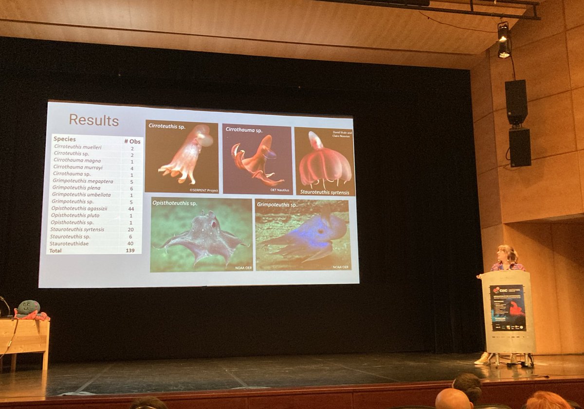 Awesome talk by Abigail Pratt on cirrate distribution and their egg-coral associations. Good to see another cirrate lover presenting at <a href="/ciac2022/">CIAC2022</a>! #ciac2022 #cephalopods #cirrata