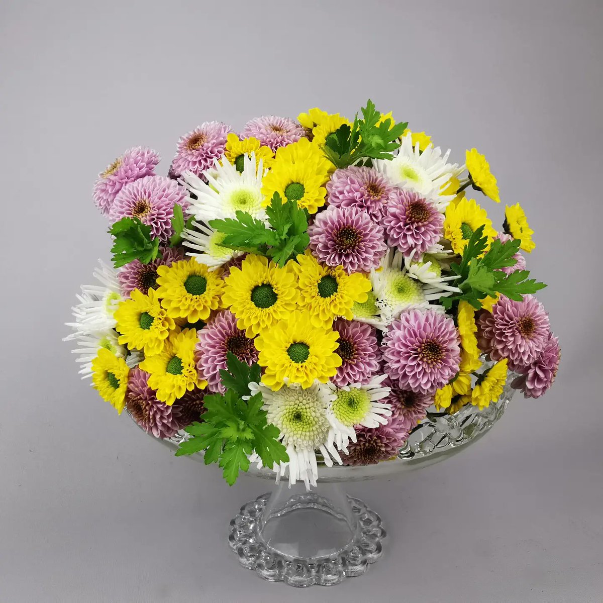 It's almost Easter 🐰🐰🐰. Here is a bouquet of chrysanthemums in the colors of spring.
White with our Maradona, Doria Pink and not forgetting yellow with Aviso.
<a href="/Dekker_Chrysant/">Dekker Chrysanten BV</a>
<a href="/Deliflor/">Deliflor Chrysanten</a>
#vrolijkpasen🐣
#joyeusespâques
#happyeaster
#chrysanthemum
