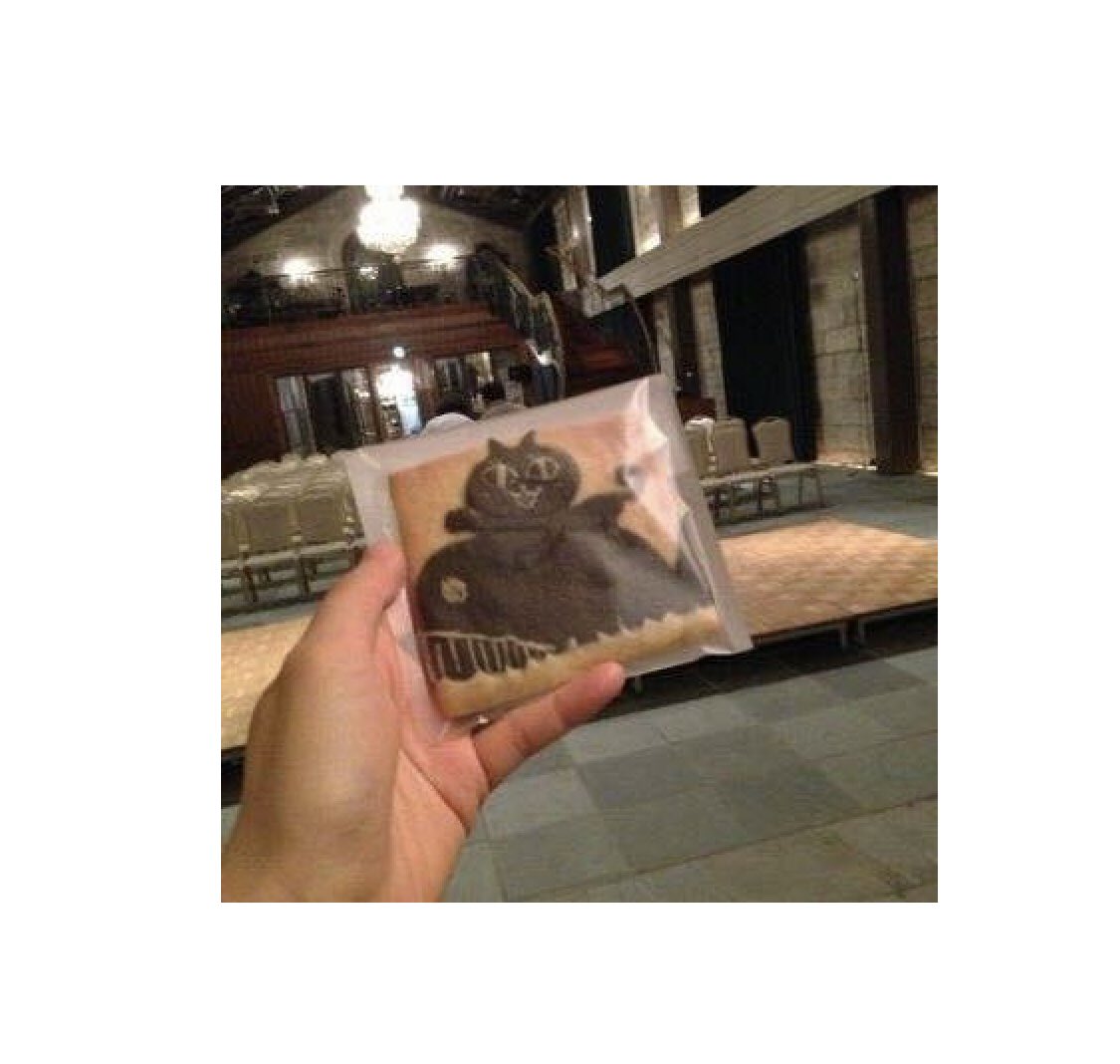 はなさん
お元気ですかー
#羊毛とおはな
#ちばはな 
#羊毛とおはなの日