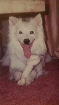 ferris316's tweet image. Happy Friday
throw that dog a bone 
#BatBat