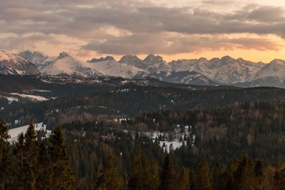 GORSKI_SWIAT's tweet photo. PIĘKNO GÓR⛰️#TATRY  #lasy #doliny #zwierzęta
E. Kubko, M.Rozenberg, M. Baśkova https://t.co/JNVKemojIc