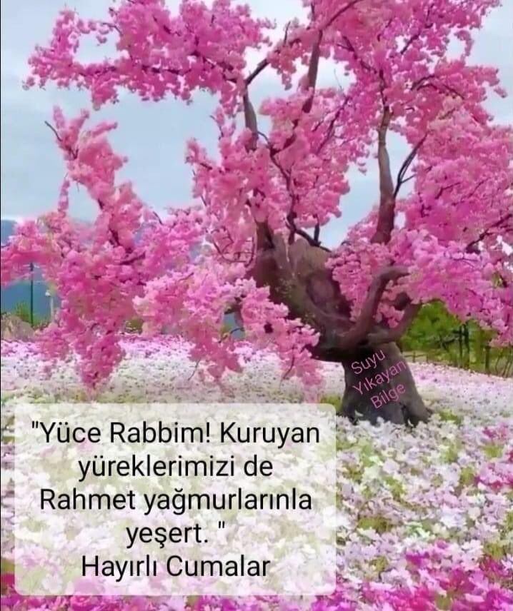 Rabbim;Dertlerinden bunalıpta bir çıkış yolu arayanlara,yolun en hayırlısını,insanların şerlerinden bıkıp tükenmişlere de kulun en hayırlısını nasip eyle...