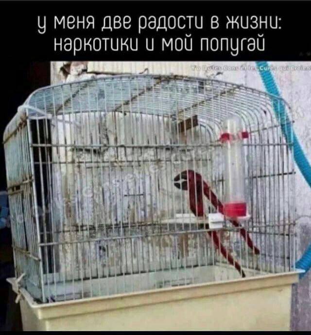 iBljad's tweet photo. Сука))) https://t.co/G4z7q3xeMA