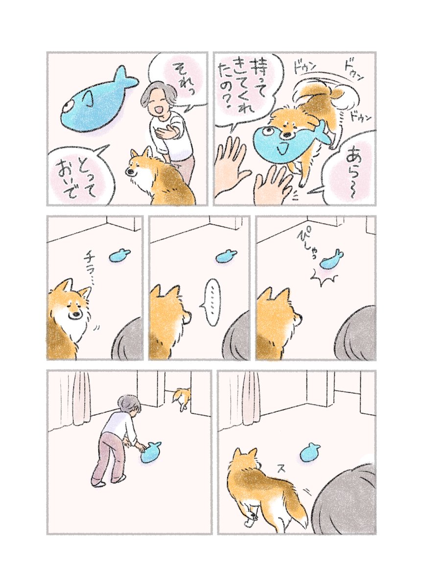 犬さんがおもちゃを持ってきたので とってこい遊び だと思って投げたらスン とされるやつ どうするのが正解 自分で取りに行ってね Togetter