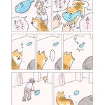 反応が切ない･･･!飼い犬が持ってきたおもちゃを「とっておいで」と投げた結果･･･!