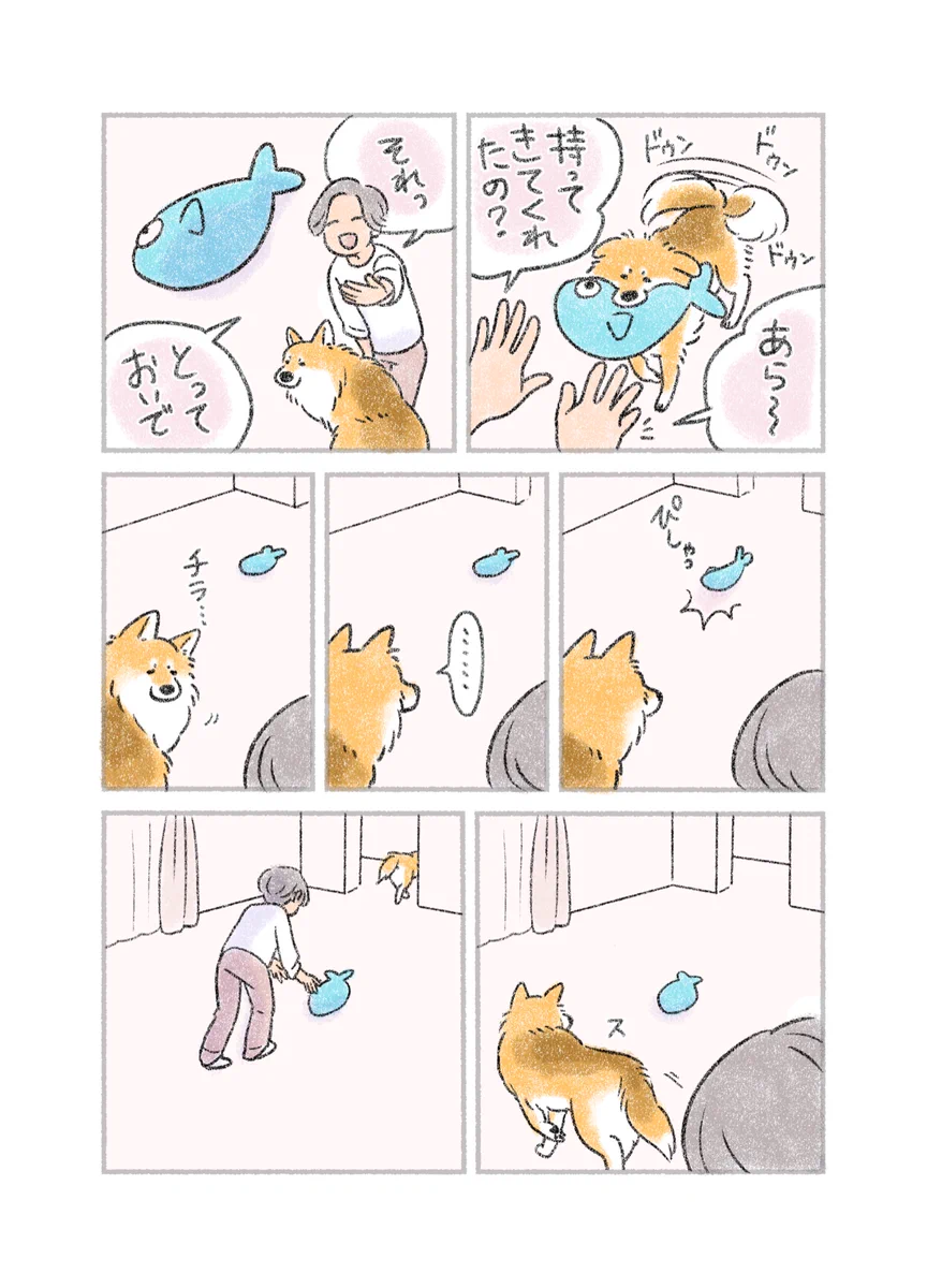反応が切ない･･･！飼い犬が持ってきたおもちゃを「とっておいで」と投げた結果･･･！