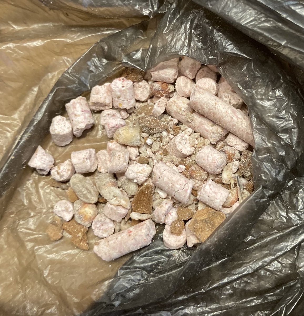 fieldfriends's tweet photo. These pellets were on a tree stump in Holders Woods this morning, internet search they look similar both to rat poison and bird food, don’t know which they are, but my dog found them first.  Anyway at vets now, as it’s within 3 hrs she’s being made to vomit.  Watch out for them. https://t.co/8wXlMBj62y