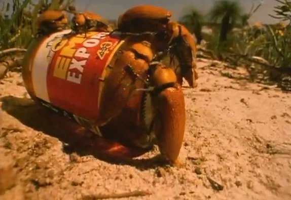 兎です。(FAKE) tweet media