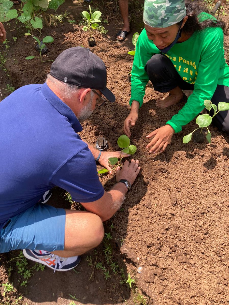 GEF_SGP's tweet photo. .@theGEF @cmrodrigueze visited the Rumah Belajar Batu Keker Learning Centre &amp; SukaDanta Organic Farm in Nusa Penida, #Indonesia where local communities are restoring landscapes, establishing organic gardens &amp; advance composting &amp; more:
https://t.co/r9ieBuiAY2

🌱🌴🌿🌱🌴🌿🌱🌴🌿 https://t.co/goUEmlCO6j