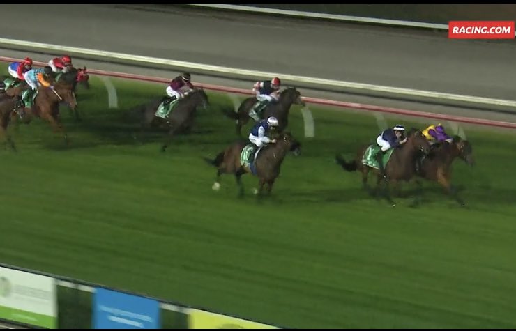 Emspartaracing's tweet photo. Oh sooooo close! Maktastic running 2nd at Cranbourne tonight, we nearly got there but second up so there is some improvement to come! #trysohard #bobofthehead #2ndagain #hesconsistent https://t.co/eGaqcuPSsG