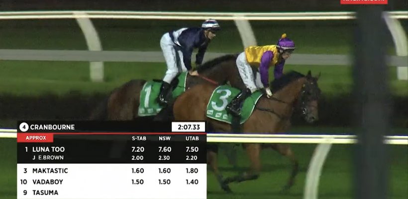 Emspartaracing's tweet photo. Oh sooooo close! Maktastic running 2nd at Cranbourne tonight, we nearly got there but second up so there is some improvement to come! #trysohard #bobofthehead #2ndagain #hesconsistent https://t.co/eGaqcuPSsG