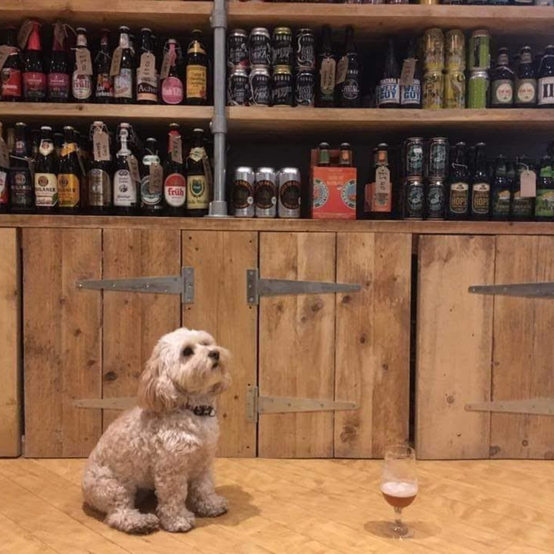 BathRdBeers's tweet photo. "Why are you home so late?"
You: "The dog was nursing his pint"

Its Friday! What are you drinking tonight? https://t.co/Lql5bNMVsB