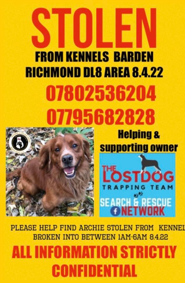 The_Animal_Team's tweet photo. 🆘STOLEN FROM KENNELS🆘#Archie male #CockerSpaniel #missing #stolen from kennels #Barden #Leyburn #DL8 area, #NorthEast on Friday, 8th April 2022. Chipped. Any info. on numbers below please. DL: https://t.co/cwlyTVMUEW #dogsoftwitter #MissingDog #MissingSpaniel https://t.co/QIEZh2Nhht