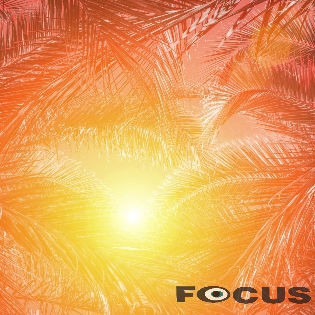 Focus Optical (@FocusOptical1) / Posts / X