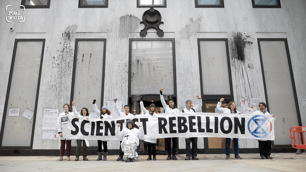 Real Media tweet media