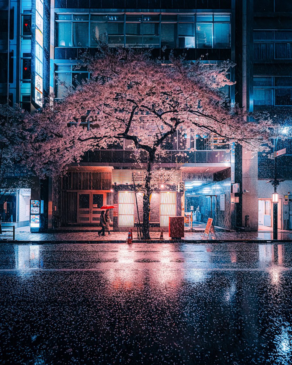 Louise_Salome_'s tweet photo. We were almost a story.

~ David Jones Poetry ~
Love And Space Dust

© Junya Watanabe ~ Tokyo, Rainy Night https://t.co/cdlGyz0pGY