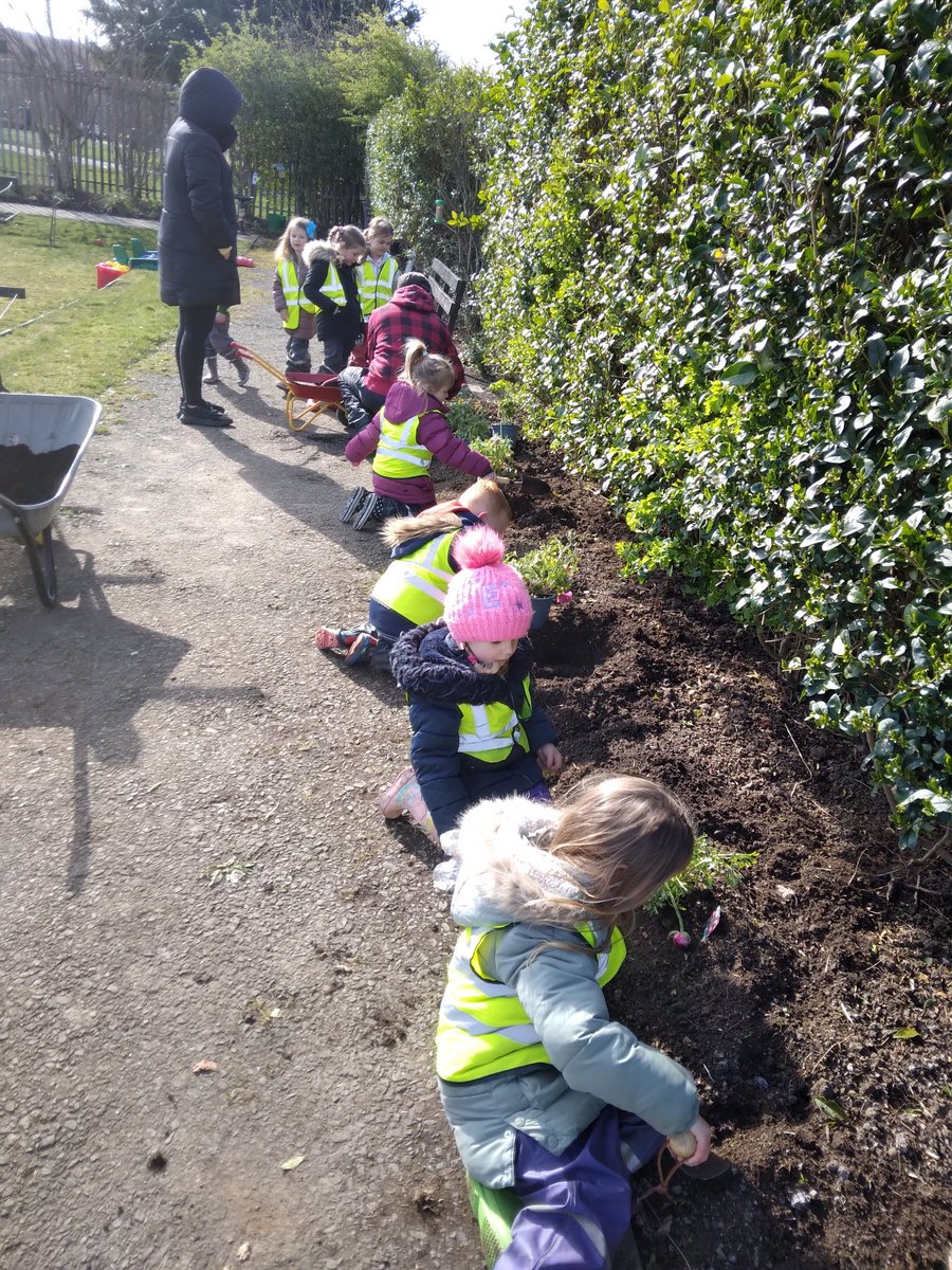 LawfieldPS's tweet photo. Our 'Planting a Seed' group are trying to grow the orange pips from our snack on Wednesday.  We also planted beautiful flowers and watered the raspberries. We have been very busy!

#germinate #plantingaseed #gardening

@LawfieldPS 
@MidEarly 
@MAEDT1 https://t.co/adqXGV5ChP