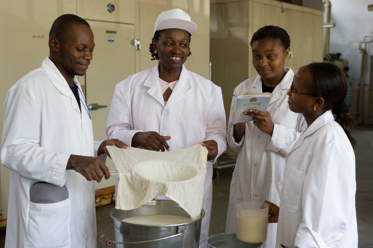 AWARDFellowship's tweet photo. 🔊Are you a scientist or a researcher looking to learn more about #ScienceDiplomacy!
The University of Embu and its partners, in collaboration with AWARD, is inviting you for #free training on Science Diplomacy on April 28, 2022, from 9.00am (EAT). 
Reg: https://t.co/mIXZvP733n https://t.co/IstTjVY6dh