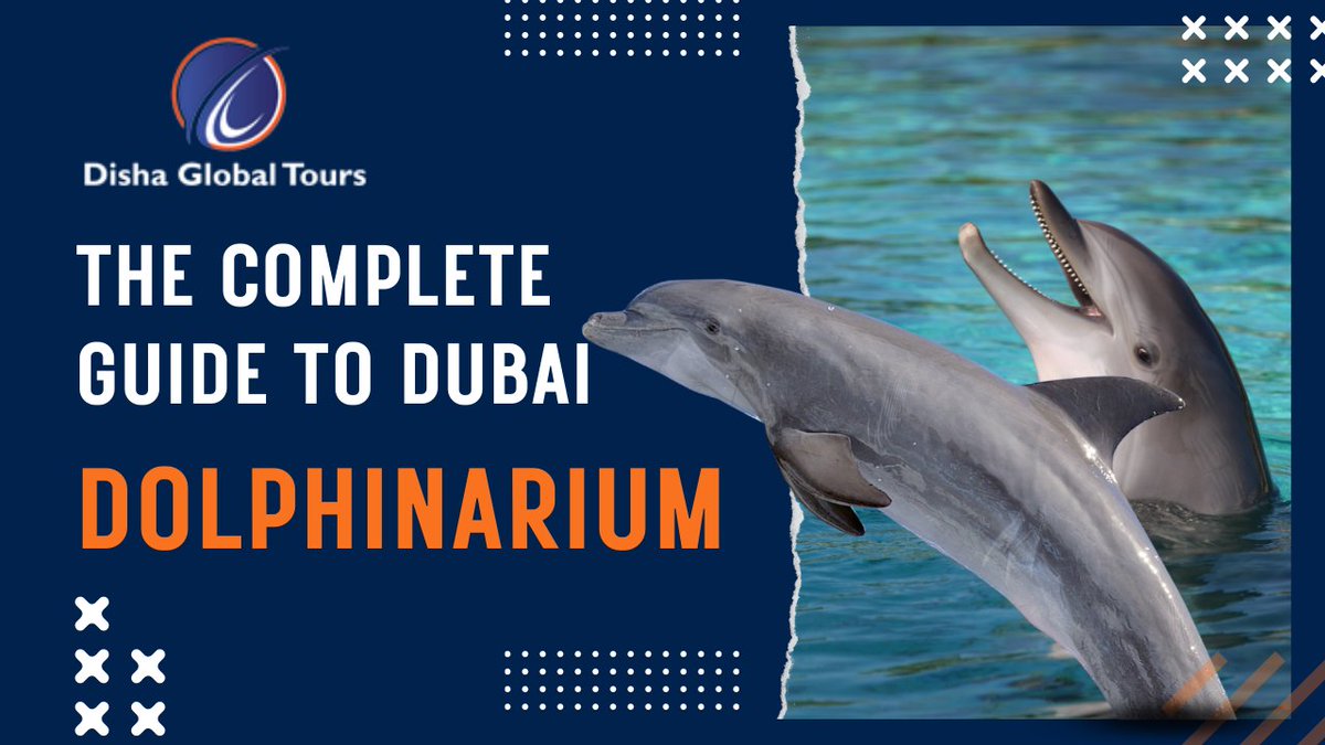 The complete guide to Dubai Dolphinarium

Feel free to contact us:
🌐youtu.be/5k2CmYqVEvA
📱+971 529714983
📧info@dishaglobaltours.com

#dishaglobaltours #dubai🇦🇪 #dolphinarium #dubaidolphinarium #dolphinariums #lovedubaidolphinarium #dolphinariumnemo #dolphinarium🐬 #dubai