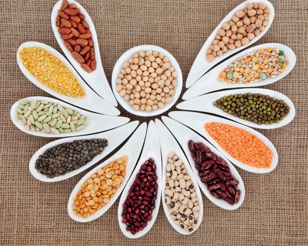Rasoi_Rani's tweet photo. Pulses Punch With The Sack Of Nutrition

#pulses #nutrition #sabji #chutneys #paratha #puri #kofta #icecreams
Follow @Rasoi_Rani 
https://t.co/fiMxdAQQ5E https://t.co/zUxBzeyO6d
