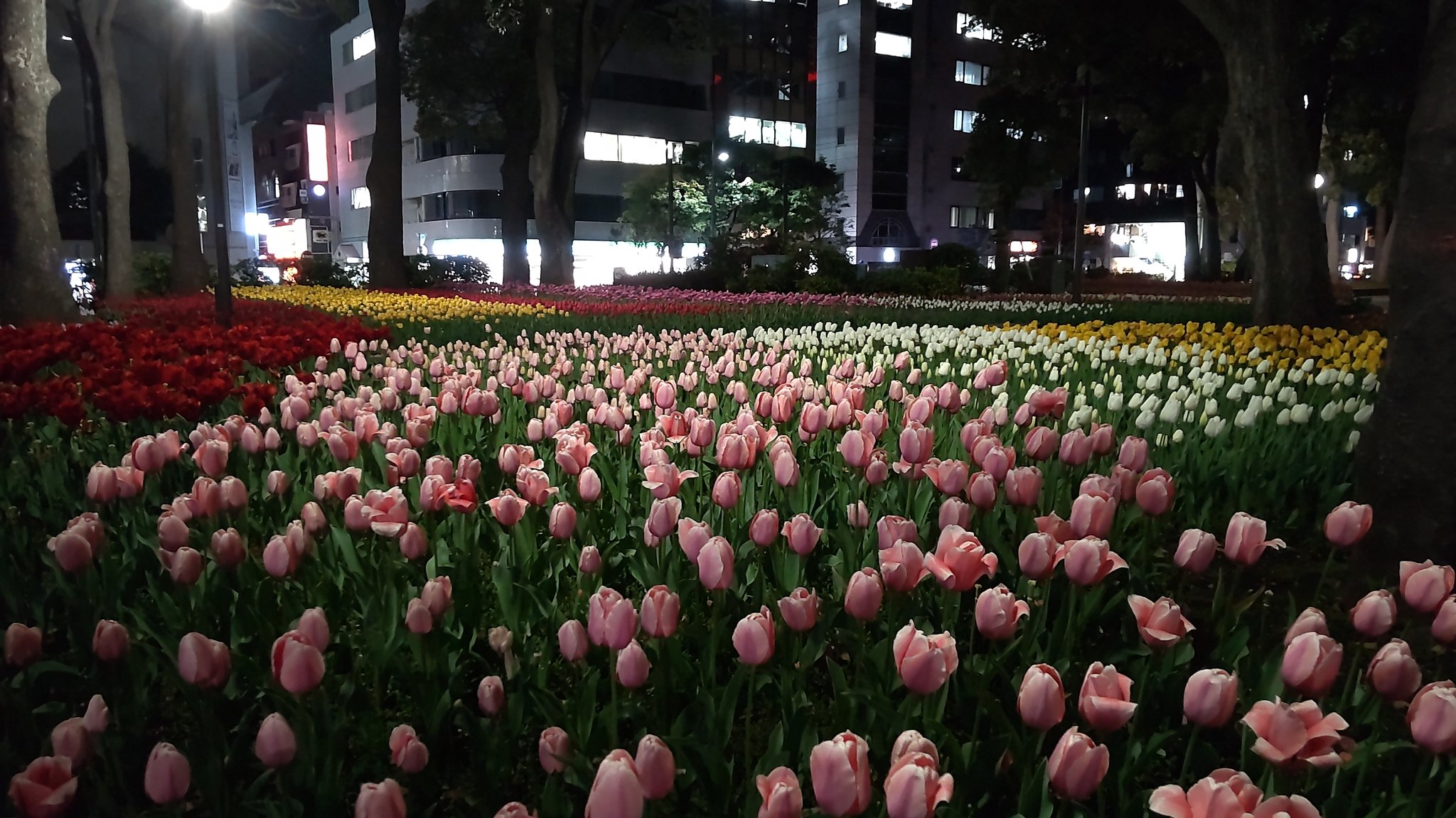 Y0 Yokohama0 Twitter