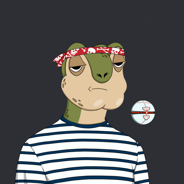 Toasty Turts tweet media