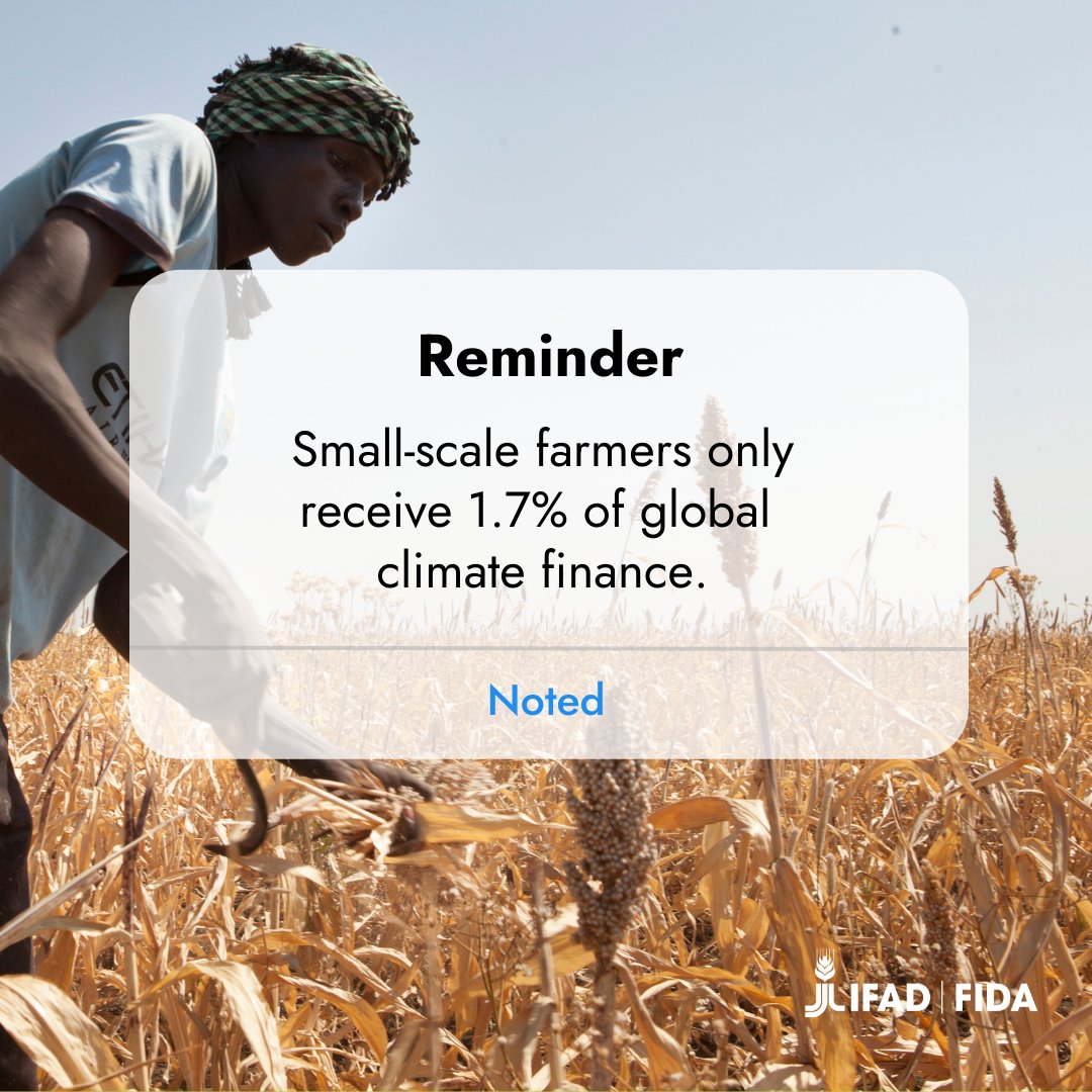 IFAD's tweet photo. Those who have the most to lose as a consequence of #ClimateChange are rural people living in poverty, and smallholders who rely on agriculture in particular. 

We need to channel climate funds and tools in the right direction. https://t.co/FZnPOe7uCM