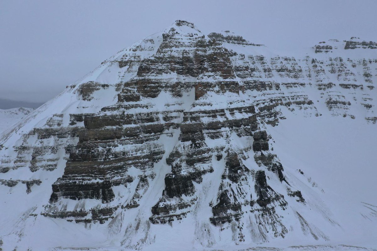 #DOM of the day - Introducing the #Seipfjellet digital model!

Interact with the #Svalbox model here: svalbox.no/?page_id=4142 

 #DigitalGeology #Arctic #Svalbard