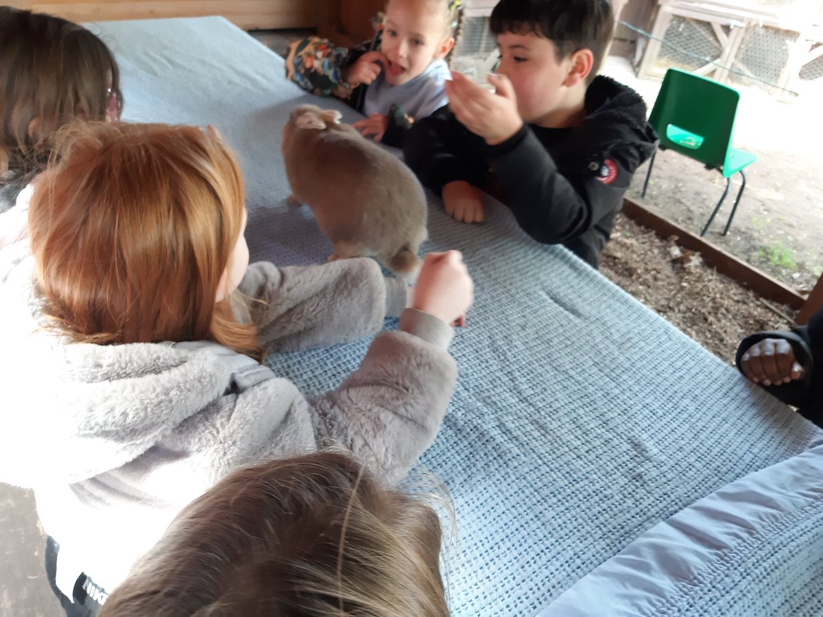 Stmattsprimary's tweet photo. Time to feed the animals https://t.co/xjOGm0XVYp