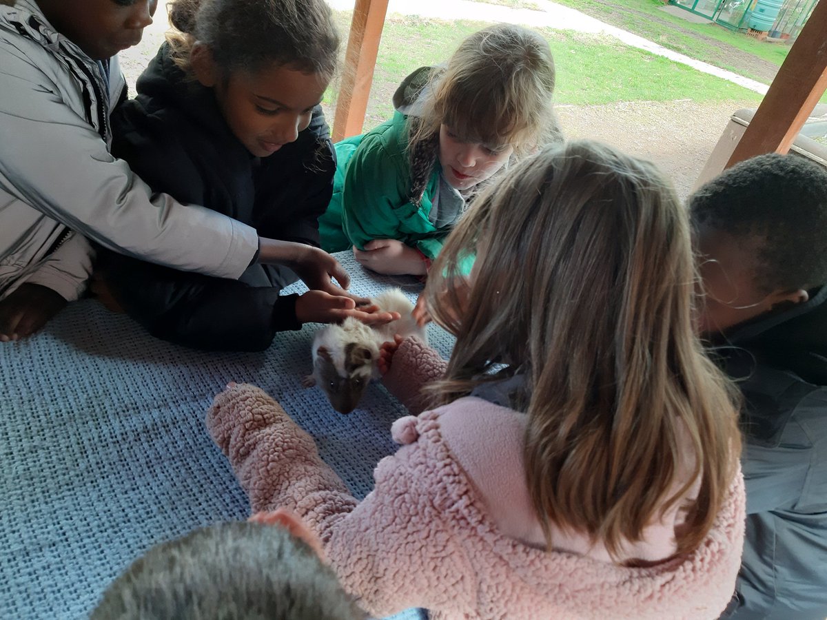 Stmattsprimary's tweet photo. Time to feed the animals https://t.co/xjOGm0XVYp