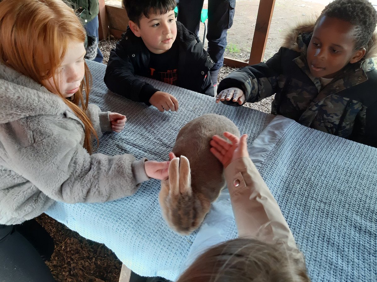 Stmattsprimary's tweet photo. Time to feed the animals https://t.co/xjOGm0XVYp