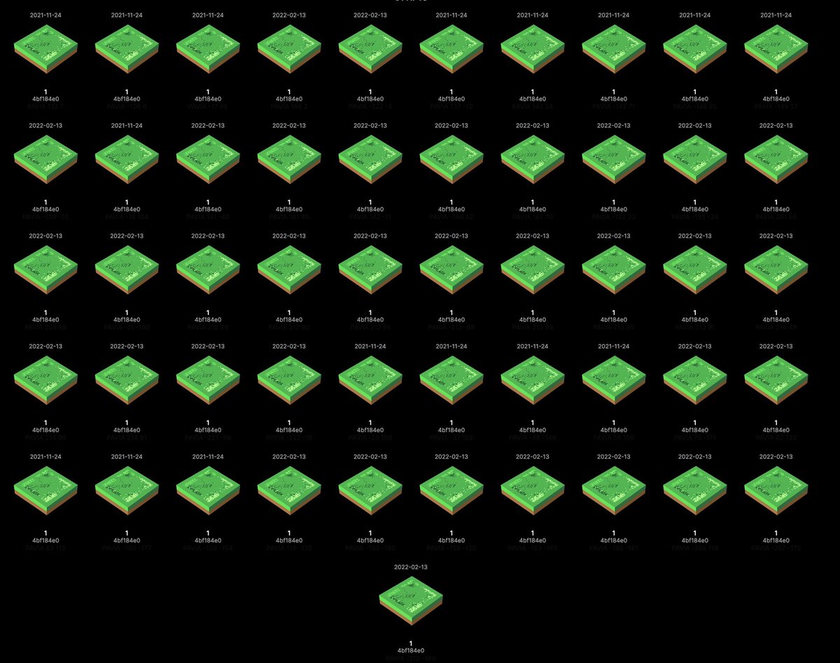 MP_Macunz's tweet photo. This is how much I love PAVIA 😍♥️
#Cardano #CNFT #CardanoADA #NFT #Pavia @Pavia_io https://t.co/f72ZthaKrS