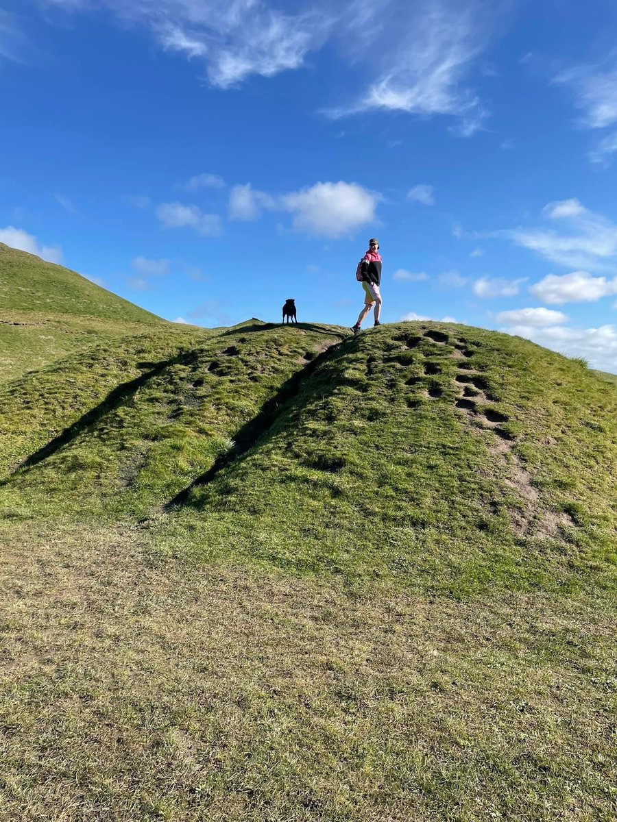 Jill McDade tweet media