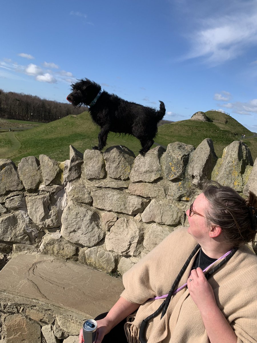 Jill McDade tweet media