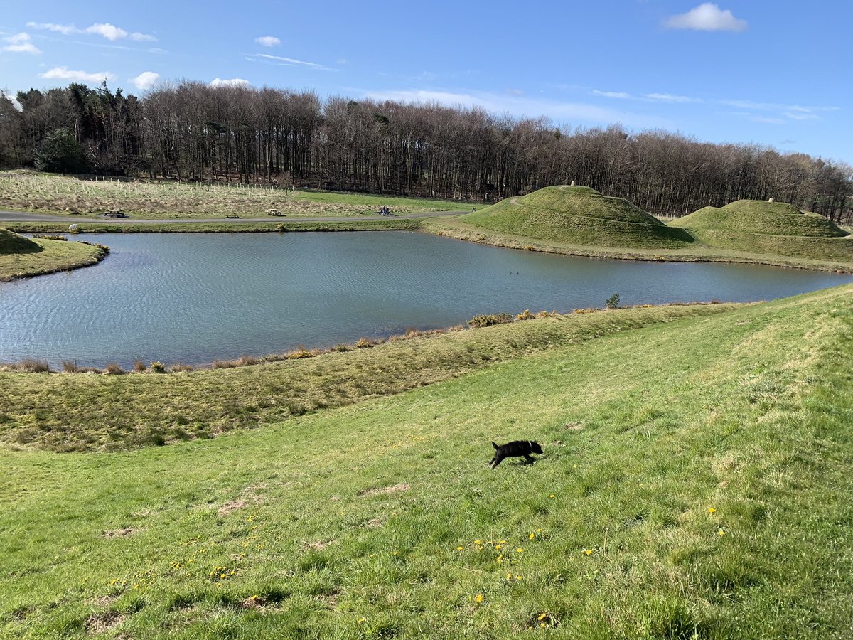 Jill McDade tweet media