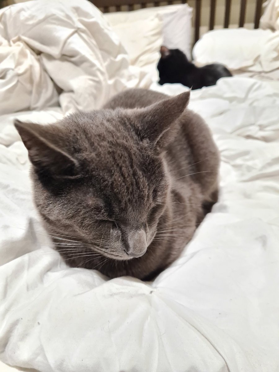 sootyyard's tweet photo. seestor havf not notice iam here :) donut tell her !! she'm will leave https://t.co/VK38Txf6ke