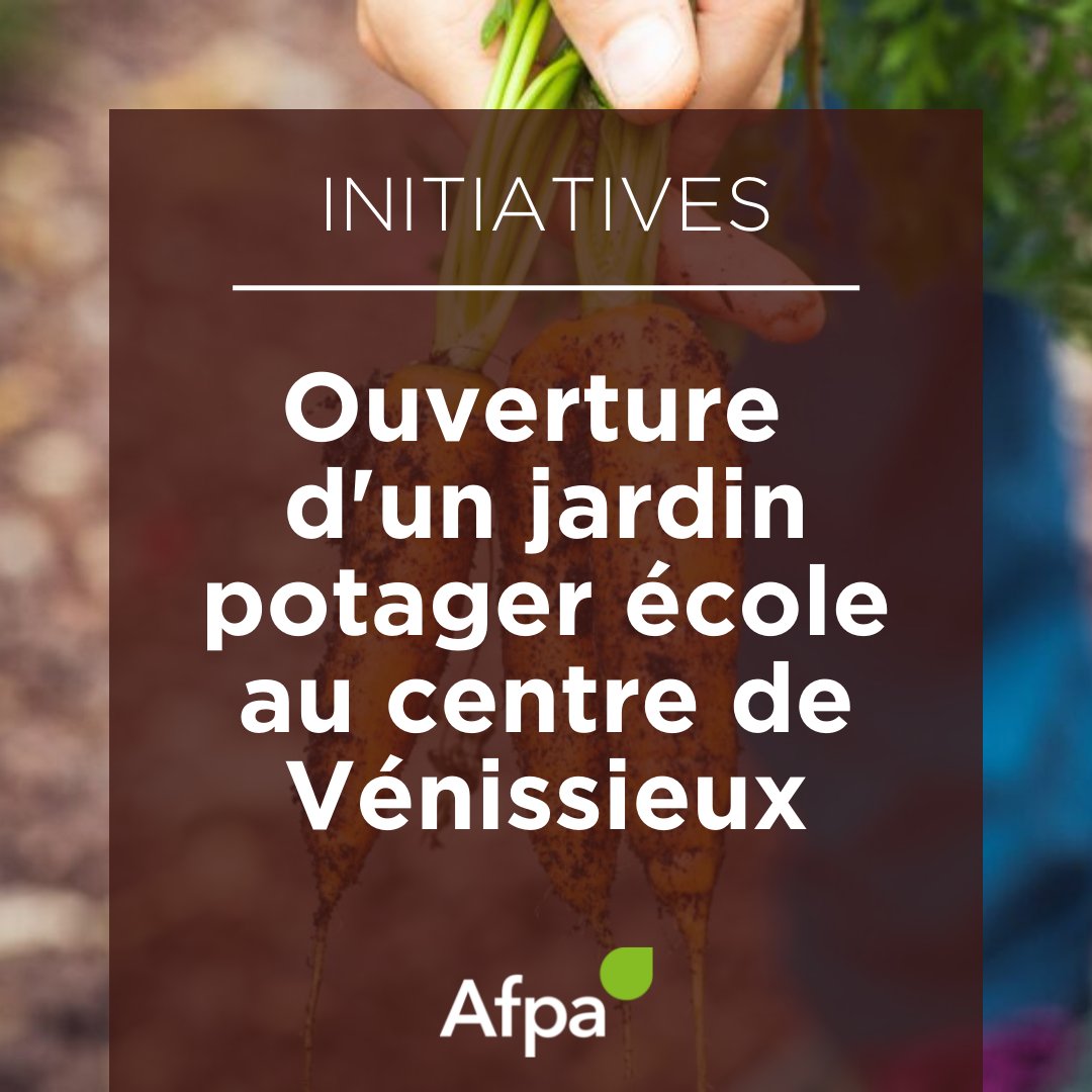 🌱 Un jardin école solidaire à Vénissieux !

Le centre Afpa de Vénissieux va ouvrir dès la semaine prochaine un jardin potager en partenariat avec l’association Les Mains Vertes.

🔜 Au programme : ateliers de jardinage, récoltes solidaire, location de parcelles individuelles