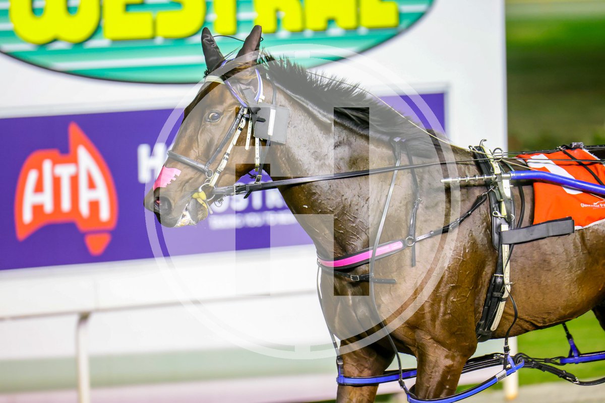 _HamiltonCC's tweet photo. Rockaball takes line honours at @GloucesterPark in R1 for @micheal_fergie and @carish_smith…

IMAGES: https://t.co/0uJSFStXsn

#TheTrotsWA | 📸: @_HamiltonCC https://t.co/SYFGvHsCT3