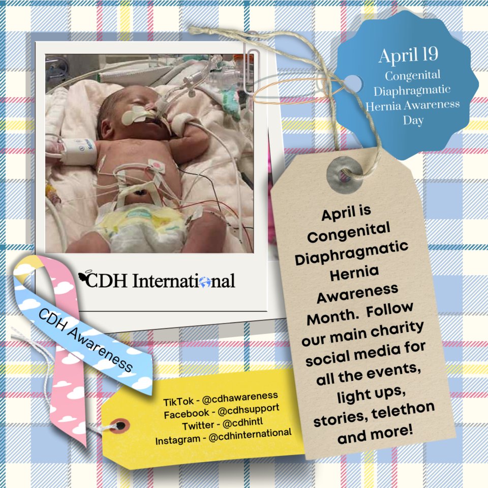 April is Global Congenital Diaphragmatic Hernia Awareness Month!

Follow our main charity social media for all the events, light ups, stories, telethon and more! 

cdhawarenessday.org

#CongenitalDiaphragmaticHernia #CDH #CDHAwareness #cdhchallenge #CDHAwarenessMonth