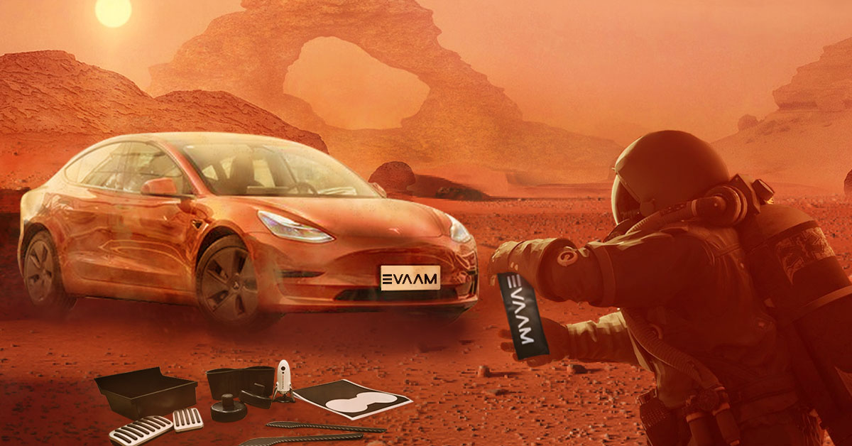 Evaam's tweet photo. @elonmusk https://t.co/hT0BIuXW88