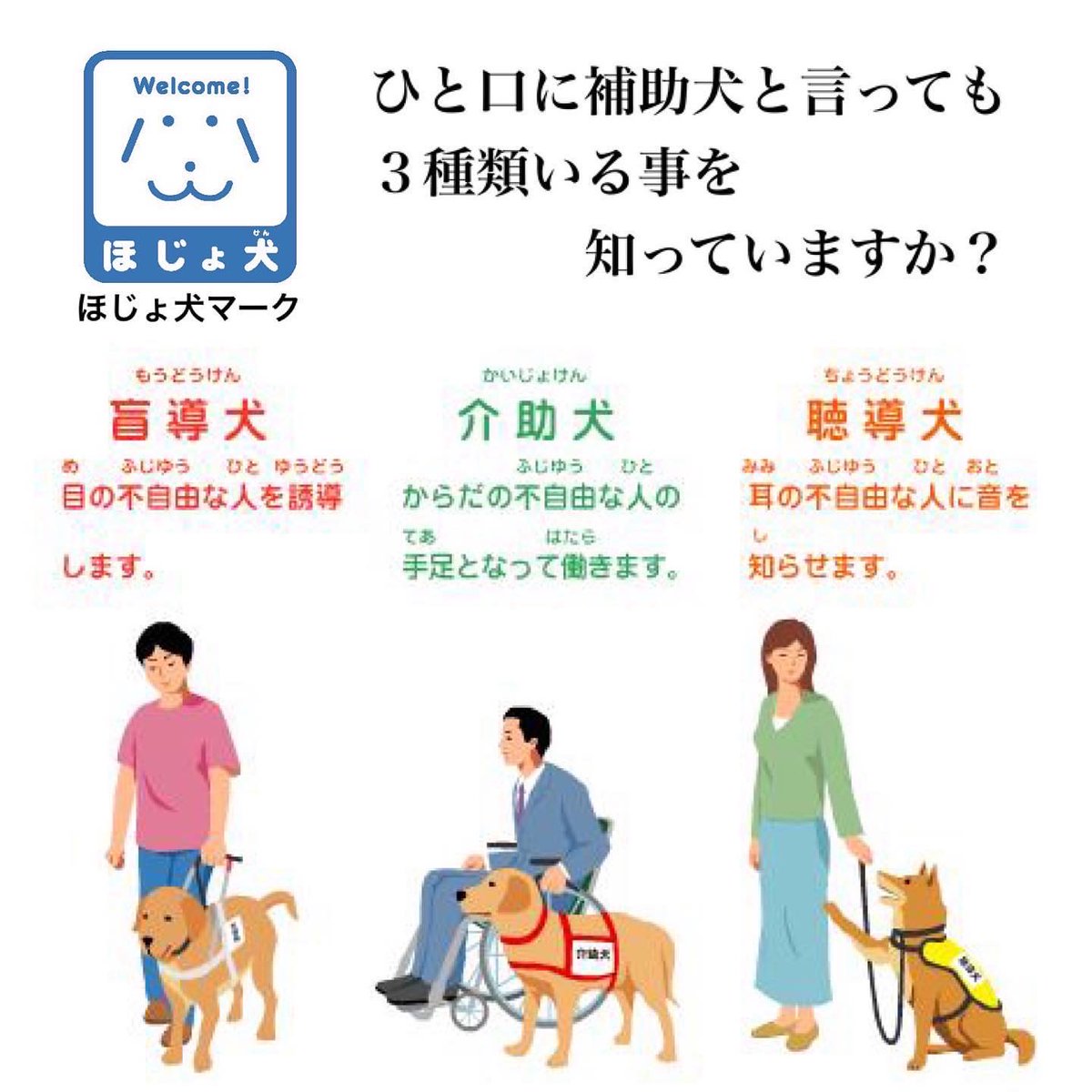 Norikobuta Norikobuta1 Twitter
