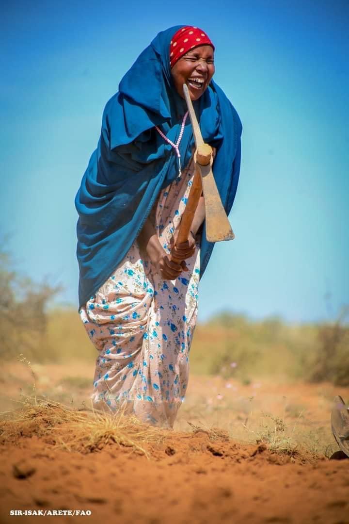HassanGabood's tweet photo. Three categories of Somali society:
1.  Farmers 
2. Fishermen
3. Pastoralists https://t.co/z6saAQ1aAa