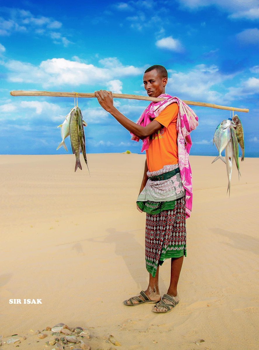 HassanGabood's tweet photo. Three categories of Somali society:
1.  Farmers 
2. Fishermen
3. Pastoralists https://t.co/z6saAQ1aAa